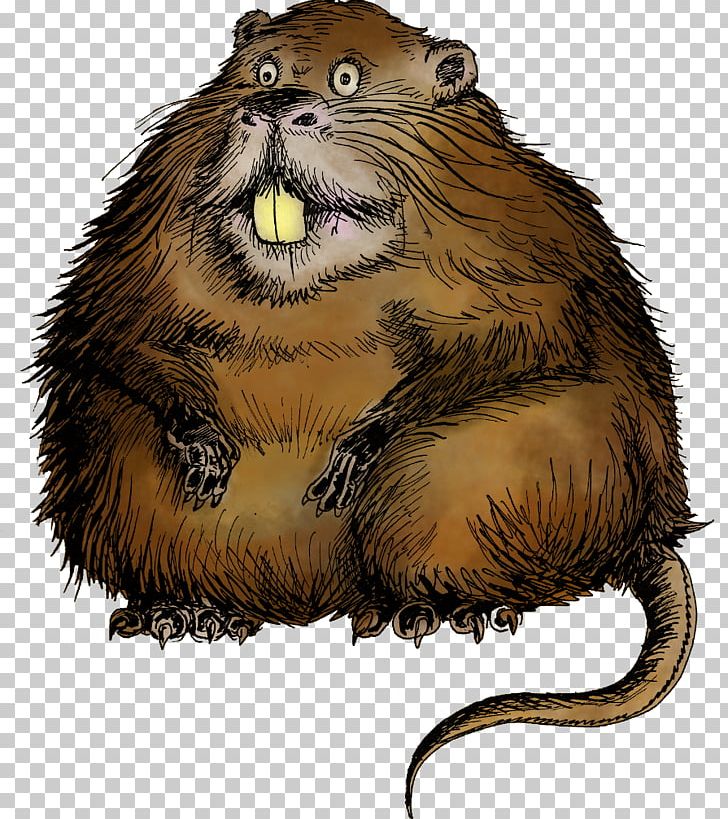 Coypu Rodent Beaver Animal PNG, Clipart, Animal, Animals, Beaver, Carnivoran, Color Free PNG Download