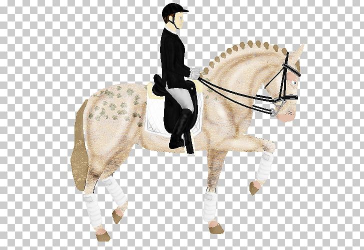 Hunt Seat Stallion Pony Bridle Horse PNG, Clipart, Animal Figure, Animals, Bit, Bridle, Dasha Free PNG Download