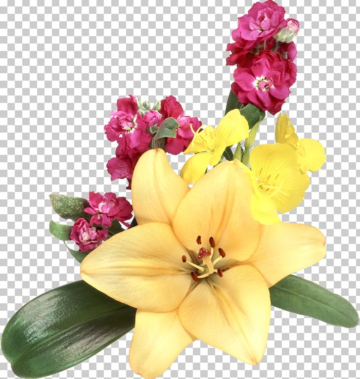 Lilium Flower Garden Roses PNG, Clipart, Adobe Flash, Cut Flowers, Floral Design, Floristry, Flower Free PNG Download
