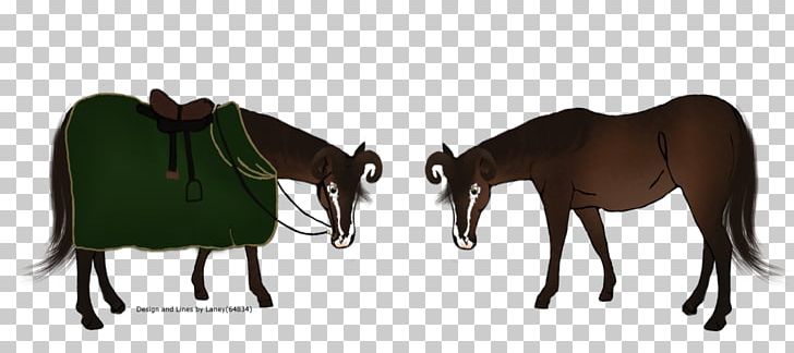 Mule Mustang Bridle Stallion Mare PNG, Clipart, Between, Bridle, Colt, Dog Harness, Done Free PNG Download