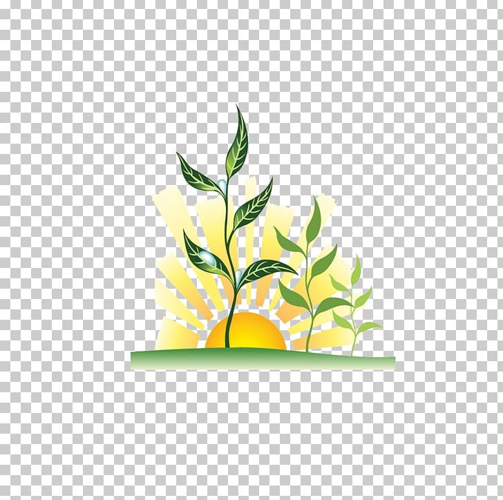 Plant Sunset PNG, Clipart, Balloon Car, Boy Cartoon, Cartoon, Cartoon Character, Cartoon Couple Free PNG Download