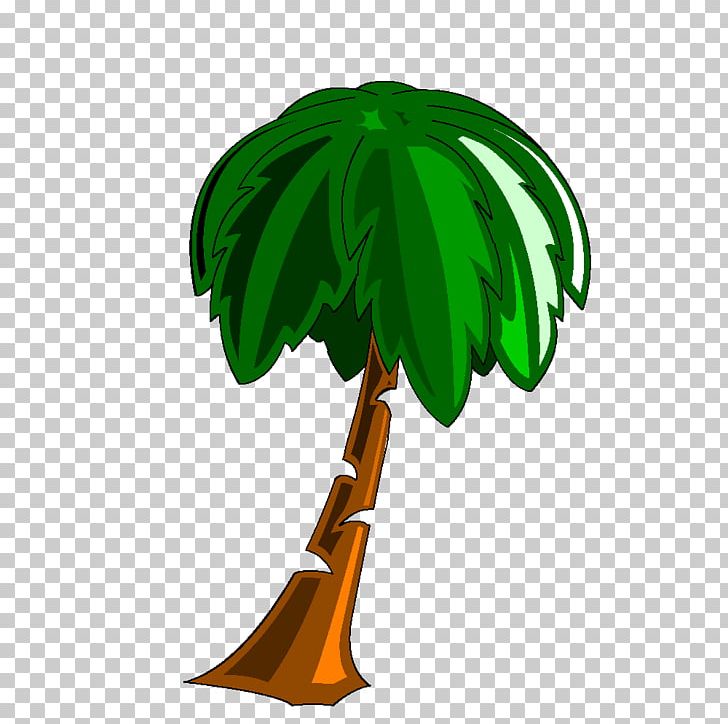 Tree Arecaceae Green Les Palmiers Tropicaux Trachycarpus Fortunei PNG, Clipart, Arecaceae, Christmas Tree, Coconut, Fir, Flowering Plant Free PNG Download