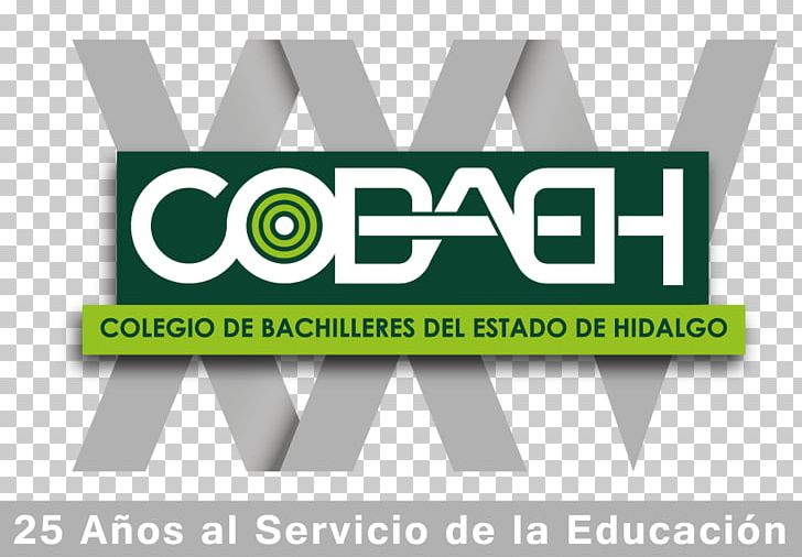 Zempoala Logo Acatlán COBAEH San Agustín Tlaxiaca Chapantongo PNG, Clipart, Brand, Celebracion, Green, Hidalgo, Ixmiquilpan Free PNG Download