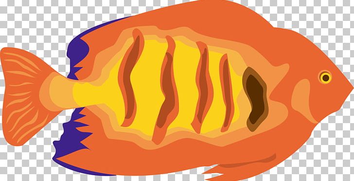 Fish PNG, Clipart, Adobe Illustrator, Animals, Banner Vector, Cartoon, Designer Free PNG Download