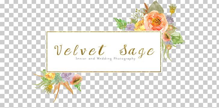 Petal Logo Greeting & Note Cards Floral Design PNG, Clipart, Art, Floral Design, Flower, Greeting, Greeting Card Free PNG Download