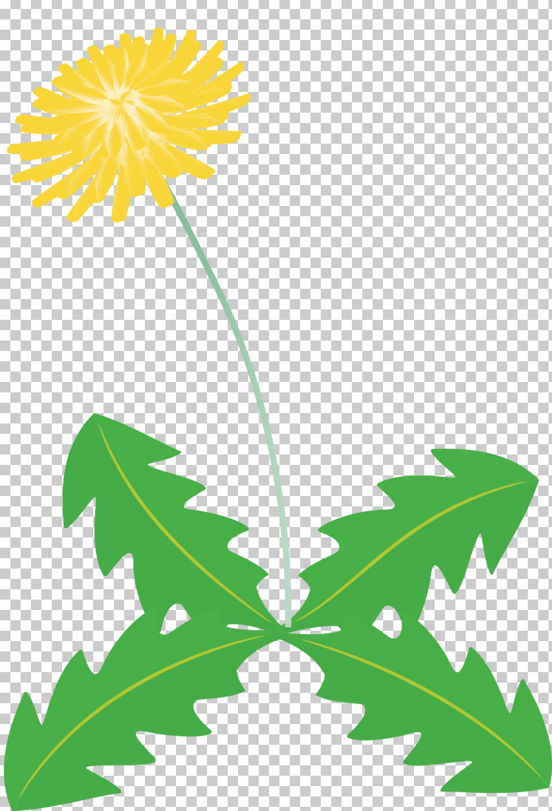 Dandelion Flower PNG, Clipart, Branch, Common Daisy, Daisy Family, Dandelion Flower, Floral Design Free PNG Download