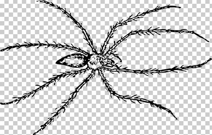 Spider Line Art Drawing PNG, Clipart, Arachnid, Art, Arthropod, Artwork, Black And White Free PNG Download