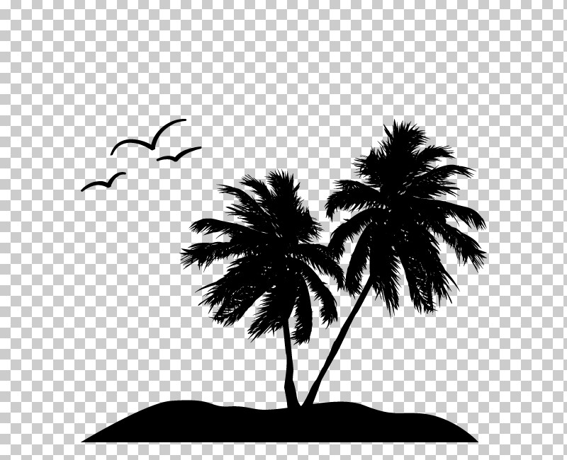 Palm Tree PNG, Clipart, Arecales, Blackandwhite, Leaf, Palm Tree, Plant