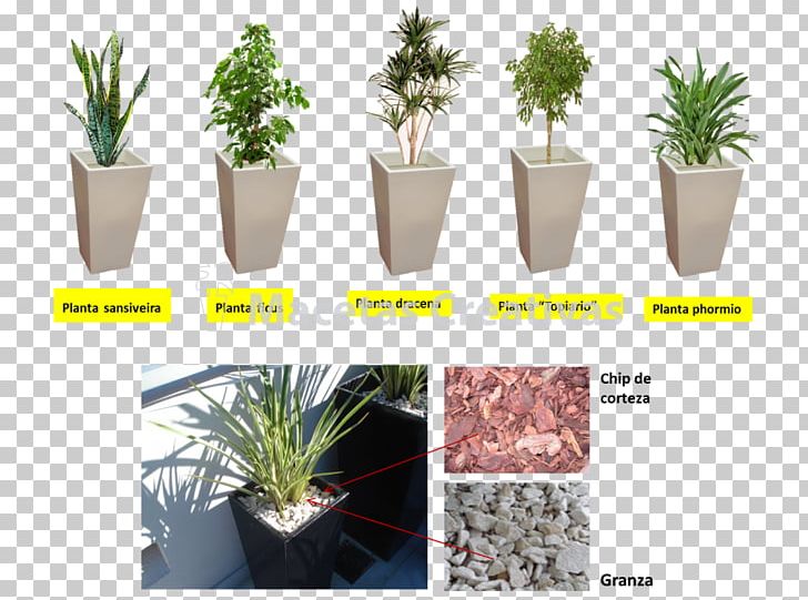 Flowerpot Houseplant Ornamental Plant Decorative Arts PNG, Clipart, Agave, Arecaceae, Bonsai, Common Ivy, Decorative Arts Free PNG Download