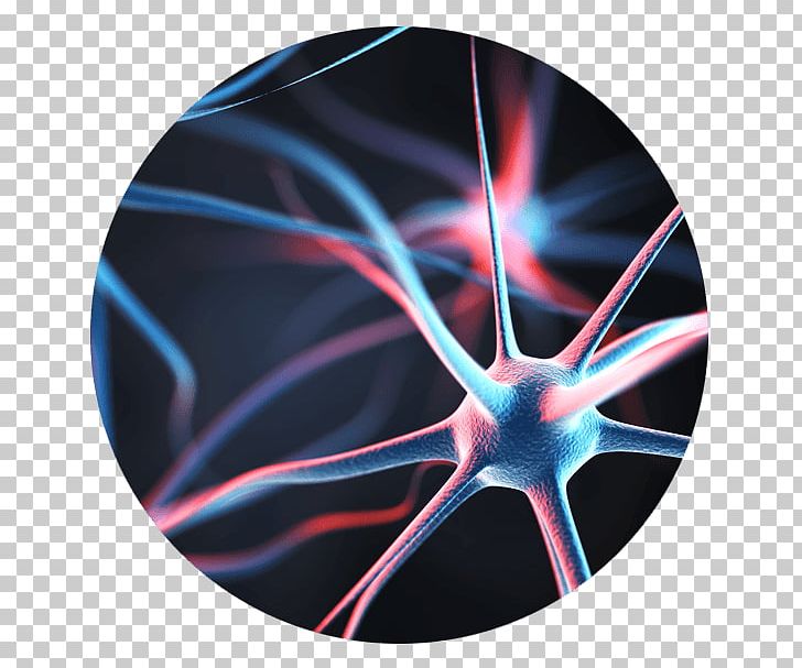 Neuron Behavioural Economics Agy Brain Nervous System PNG, Clipart, Agy, Artificial Neural Network, Behavioural Economics, Brain, Electric Blue Free PNG Download