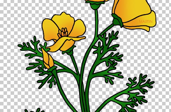 Open Drawing Floral Design Free Content PNG, Clipart, Annual Plant, Art, Artwork, California Poppy, Cut Flowers Free PNG Download