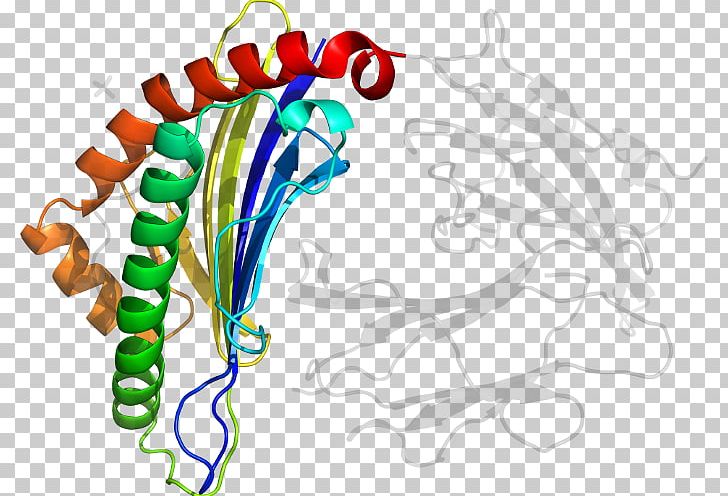Organism Line Special Olympics Area M PNG, Clipart, Area, Graphic Design, Line, Organ, Organism Free PNG Download