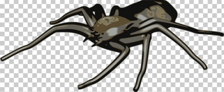 Spider Web PNG, Clipart, Animal Figure, Arachnid, Arthropod, Blog, Cartoon Spiders Clipart Free PNG Download