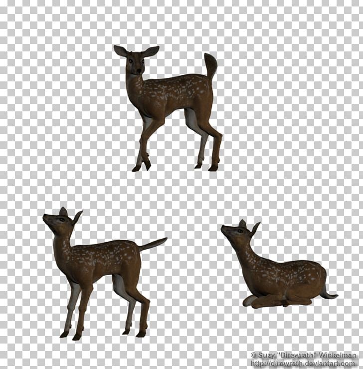 White-tailed Deer Silhouette PNG, Clipart, Animal, Animal Figure, Animals, Antelope, Antler Free PNG Download