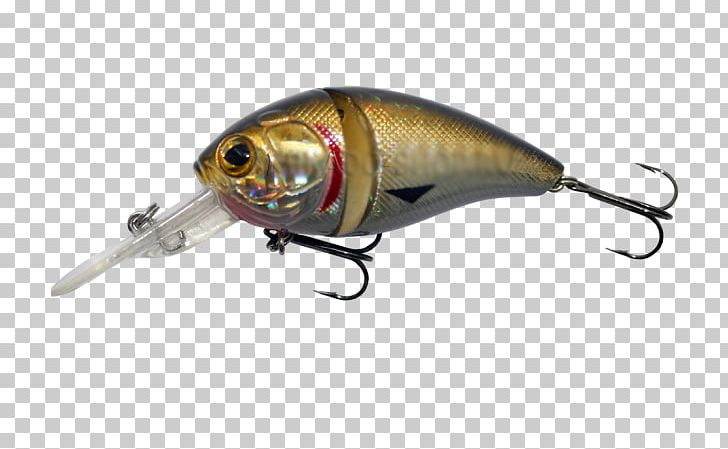 Perch Spoon Lure Insect Fish AC Power Plugs And Sockets PNG, Clipart, Ac Power Plugs And Sockets, Animals, Bait, Bony Fish, Fat Free PNG Download