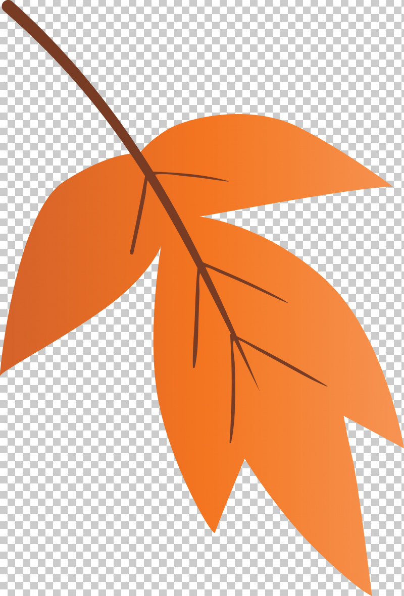 Orange PNG, Clipart, Leaf, Line, Logo, Orange, Plant Free PNG Download