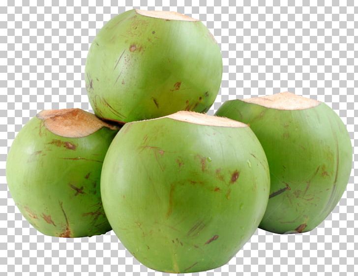 Coconut Water Coconut Milk Organic Food Fruit PNG, Clipart, Apple, Coconut, Coconut Fruit, Coconut Milk, Coconut Water Free PNG Download