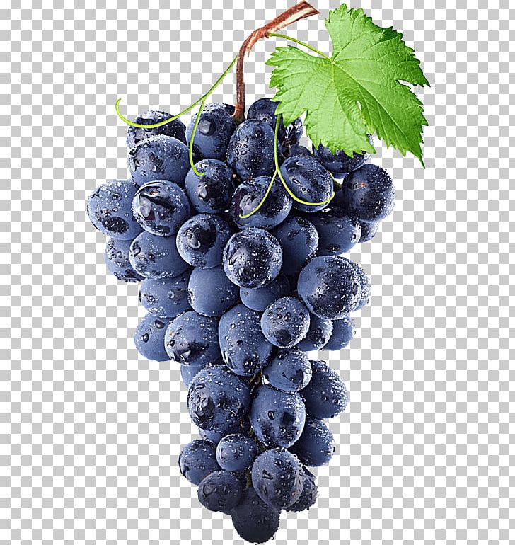 Concord Grape White Wine Kyoho PNG, Clipart, Bilberry, Blueberry, Common Grape Vine, Concord Grape, Fluff Free PNG Download