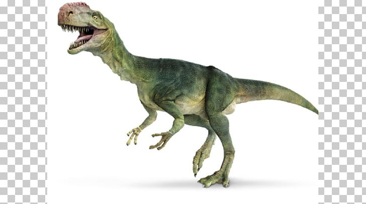 Dinosaur Iguanodon Monolophosaurus Tyrannosaurus Reptile PNG, Clipart, Animal, Animal Figure, Brachiosaurus, Dilophosaurus, Dinosaur Free PNG Download