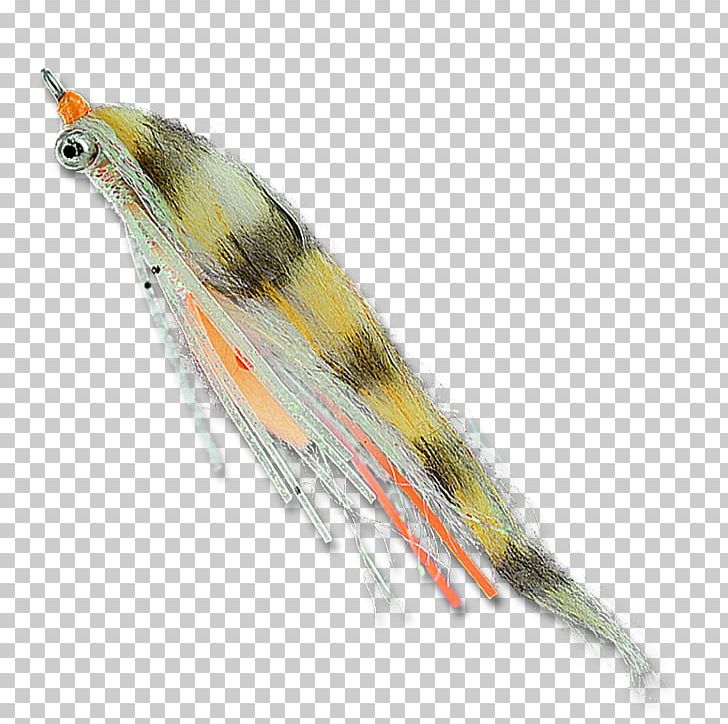 Finches Feather Beak PNG, Clipart, Animals, Beak, Bird, Bonefishes, Feather Free PNG Download