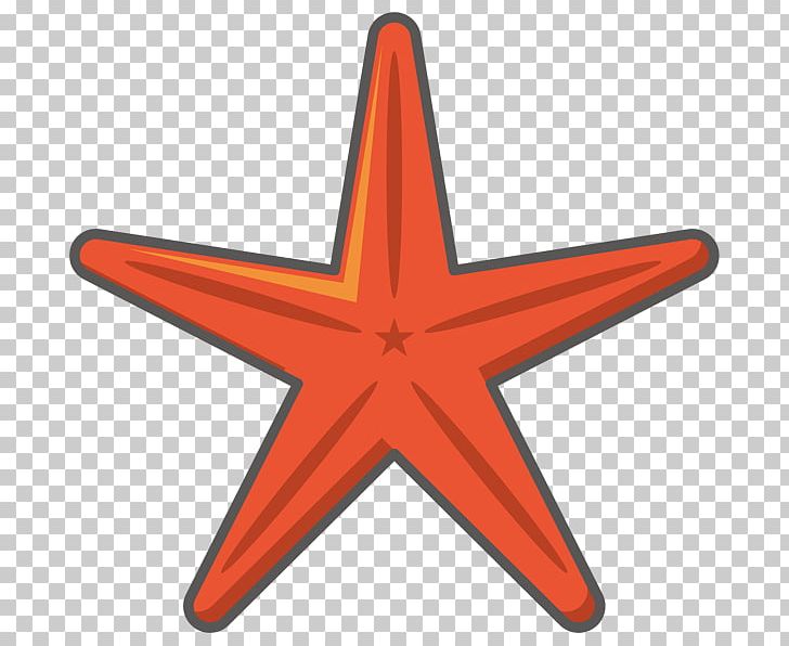 Microsoft PowerPoint Design Illustration Starfish PNG, Clipart, Angle, Evenement, Invertebrate, Line, Marine Invertebrates Free PNG Download