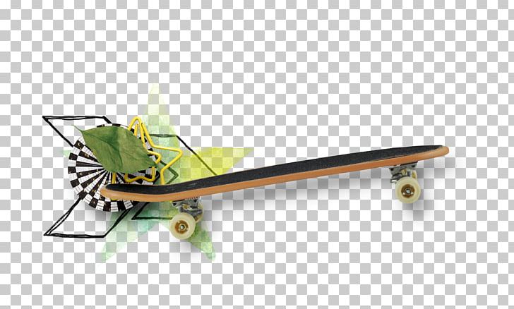 Skateboard PNG, Clipart, Download, Fall Leaves, Flower Pattern, Geometric Pattern, Geometry Free PNG Download