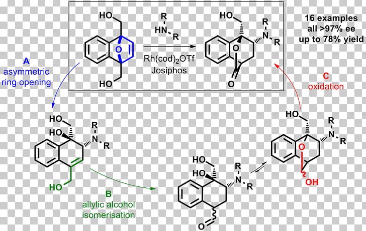 Total Synthesis Rearrangement Reaction Enantioselective Synthesis Chemical Synthesis PNG, Clipart, Angle, Area, Auto Part, Catalysis, Chemical Synthesis Free PNG Download