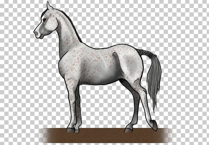 Mane Mustang Mare Foal Stallion PNG, Clipart, Bit, Bridle, Colt, English Riding, Equestrian Free PNG Download