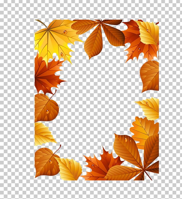 Maple Leaf Petal PNG, Clipart, Autumn, Autumn Background, Autumn Colors, Background, Flower Free PNG Download