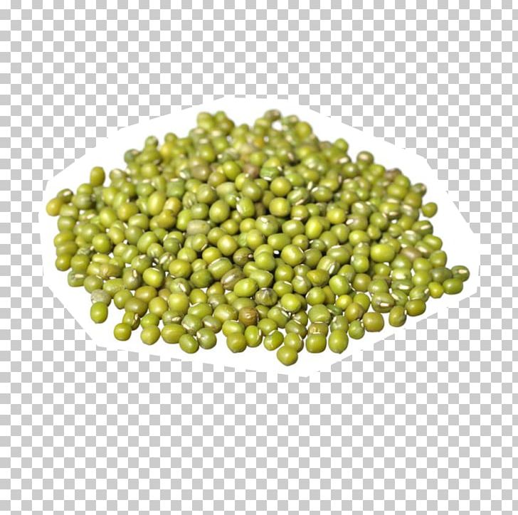 Organic Food Soybean Sprout Sprouting Mung Bean PNG, Clipart, Bean, Bean Sprout, Brussels Sprout, Chinese Cuisine, Commodity Free PNG Download