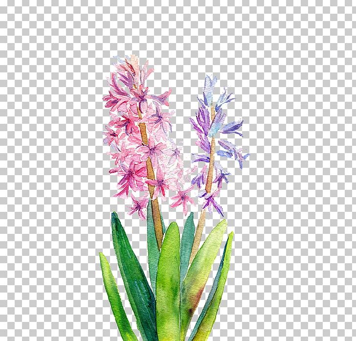 Watercolor: Flowers Watercolor Painting PNG, Clipart, Cartoon, Color, Decoration, Designer, Drawing Board Free PNG Download