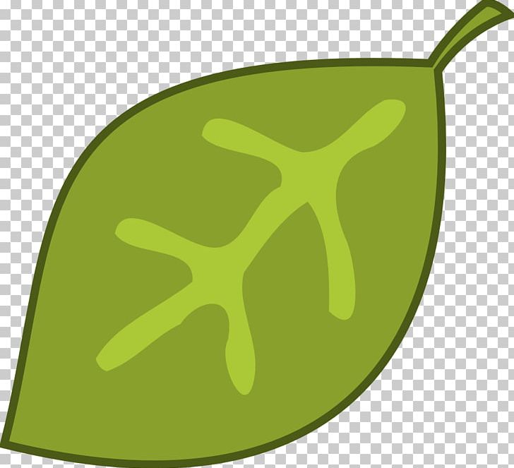 Bay Leaf Free Content PNG, Clipart, Autumn Leaf Color, Bay, Bay Leaf, Download, Food Free PNG Download