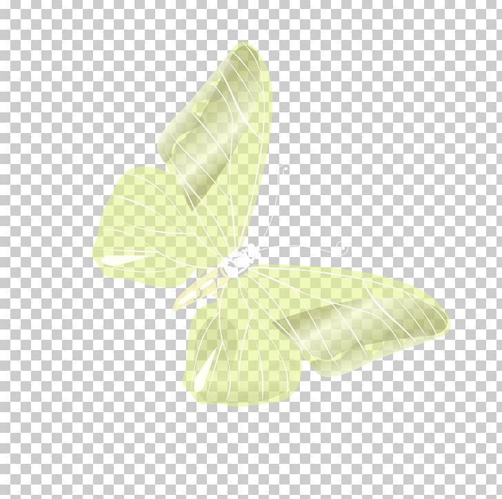Butterfly Angle Pattern PNG, Clipart, Angle, Animal, Animals, Art, Butterflies Free PNG Download