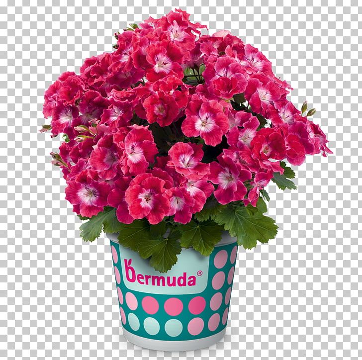 Flower Bouquet Floristry Geraniums Perennial Plant PNG, Clipart,  Free PNG Download