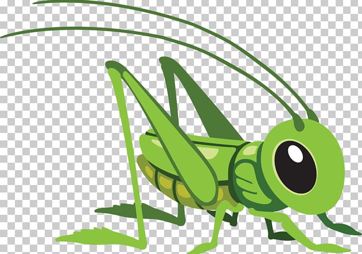 Grasshopper Cartoon PNG, Clipart, Fauna, Grass, Hand Drawn, Insects, Leaf Free PNG Download
