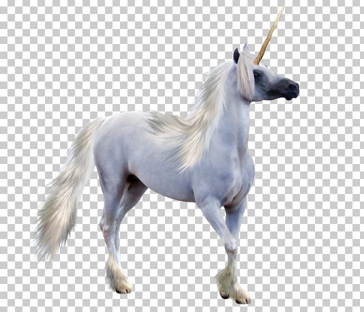 Winged Unicorn Pegasus PNG, Clipart, Desktop Wallpaper, Deviantart, Fantasy, Fictional Character, Horse Free PNG Download