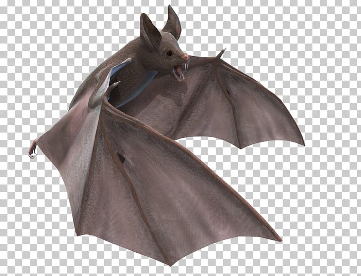 Bat PNG, Clipart, Bat Free PNG Download