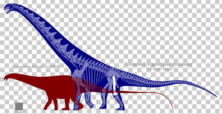 Dinosaur Line PNG, Clipart, Apatosaurus, Argentinosaurus, Comparison, Dinosaur, Fantasy Free PNG Download