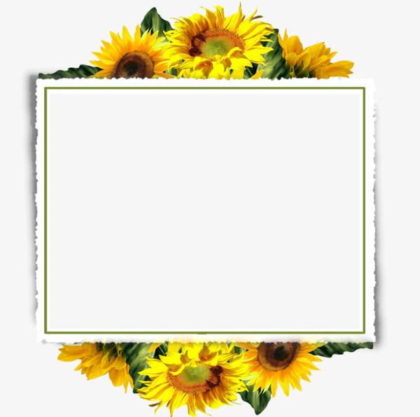 Free Free 62 Sunflower Border Clipart Free SVG PNG EPS DXF File