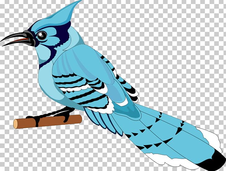 Toronto Blue Jays Bird PNG, Clipart, Artwork, Beak, Bird, Bird Vector Art, Blue Jay Free PNG Download