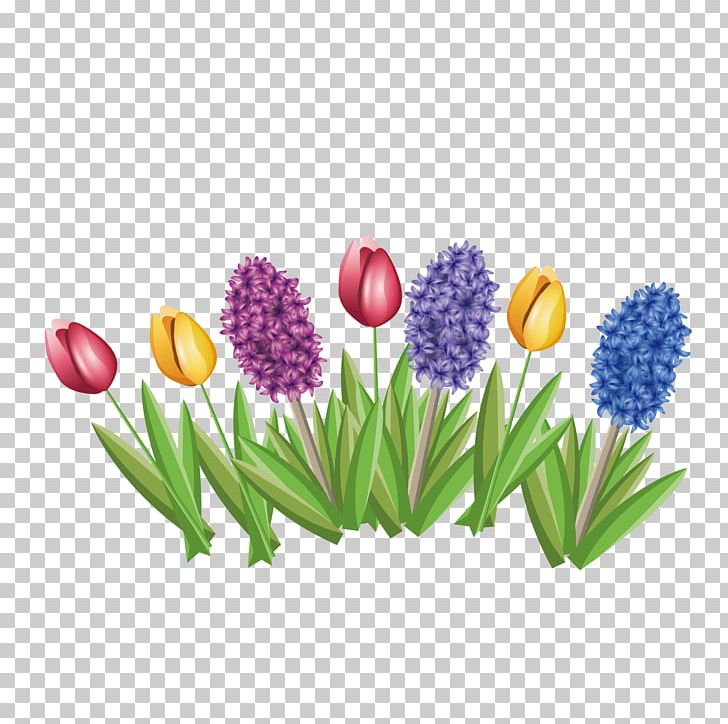 Tulip Hyacinthus Orientalis Flower PNG, Clipart, Common Water Hyacinth, Encapsulated Postscript, Euclidean Vector, Floral Design, Flowering Plant Free PNG Download