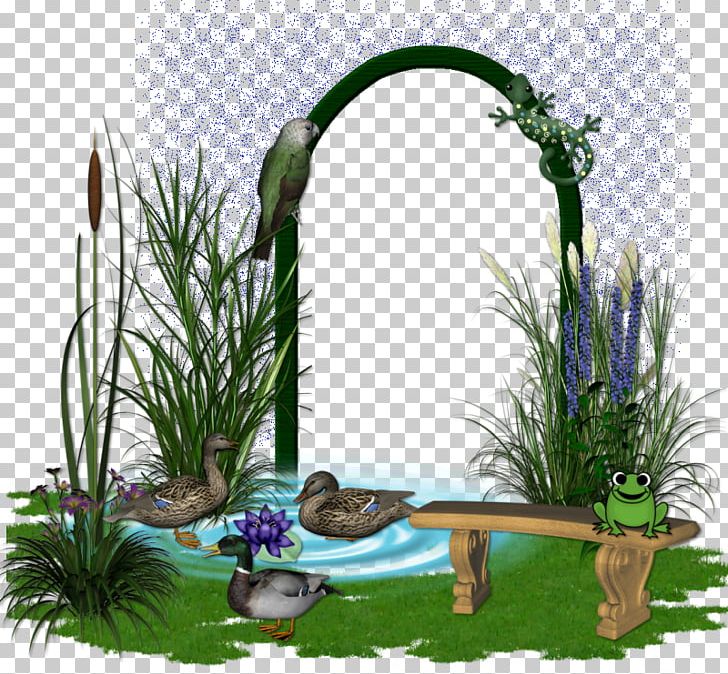 Floral Design Majorelle Blue Majorelle Garden Grasses Flowerpot PNG, Clipart, Animals, Blue, Family, Floral Design, Floristry Free PNG Download
