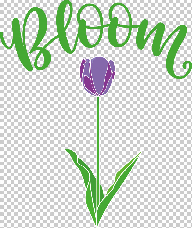 Bloom Spring Flower PNG, Clipart, Bloom, Cut Flowers, Floral Design, Flower, Green Free PNG Download