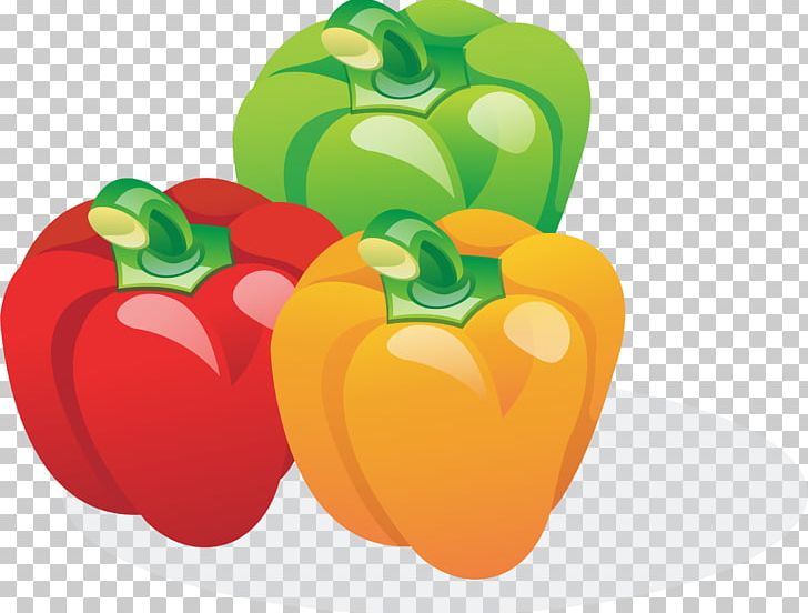 Bell Pepper Chili Pepper PNG, Clipart, Apple, Bell Peppers And Chili Peppers, Black Pepper, Capsicum, Capsicum Annuum Free PNG Download