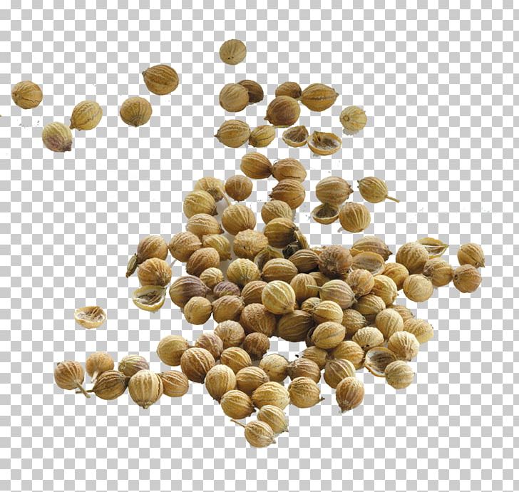 Coriander Seed Food Cumin Yogi Tea PNG, Clipart, Allspice, Basil, Bean, Cardamom, Chili Powder Free PNG Download