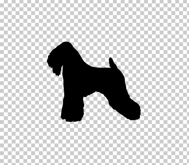 Miniature Schnauzer Puppy Soft-coated Wheaten Terrier Dog Breed Yorkshire Terrier PNG, Clipart, Black, Boston Terrier, Breed, Carnivoran, Coat Free PNG Download