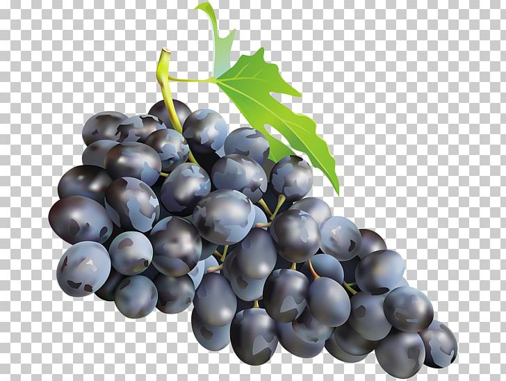 Muscadine Grape Zante Currant Sultana Muscat PNG, Clipart, Bilberry, Blueberry, Currant, Damson, Food Free PNG Download