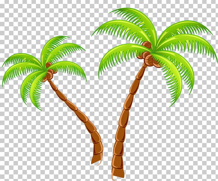 Tropical Islands Resort PNG, Clipart, Arecaceae, Arecales, Beach, Christmas Tree, Coconut Free PNG Download