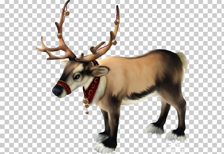 Rudolph Santa Claus Mrs. Claus Christmas Cartoon PNG, Clipart, Antler, Cartoon, Chr, Christmas And Holiday Season, Christmas Decoration Free PNG Download