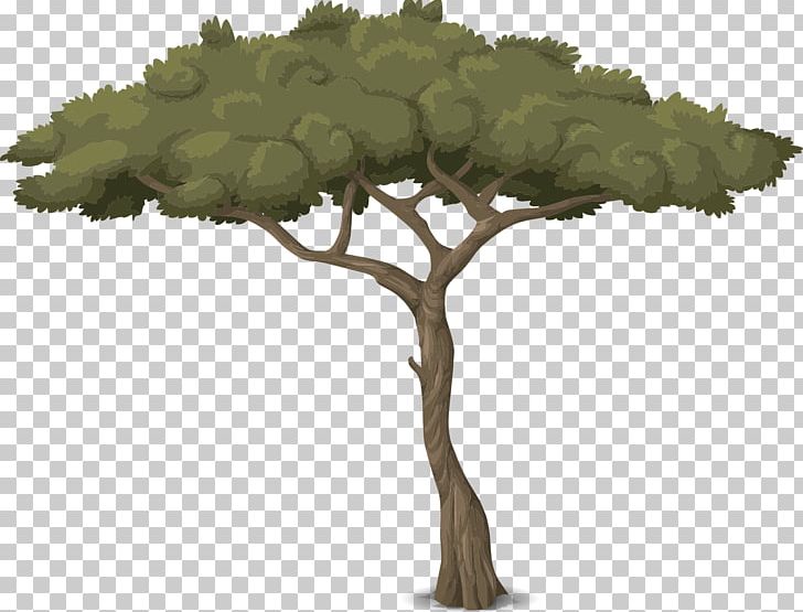 Tree Arborist Trunk Botany Garden PNG, Clipart, Arborist, Botany, Branch, Desktop Wallpaper, Garden Free PNG Download